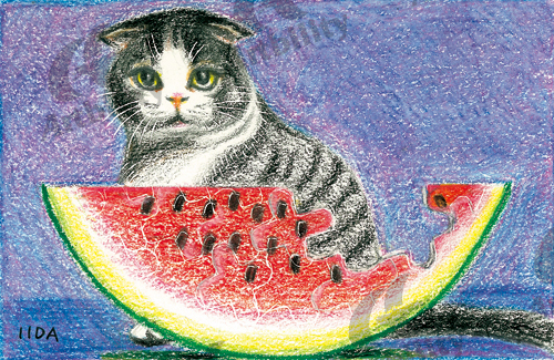 登録作品の猫と西瓜